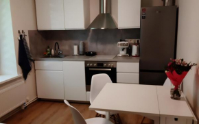 Gero Vėjo Namų apartamentai